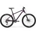 Merida Big.Seven  300 (2021)