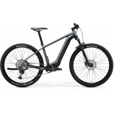 Merida eBig.Nine  500 (2020)