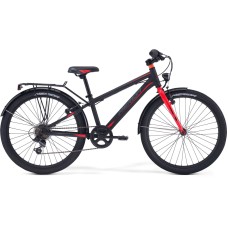Merida Dino  J24 (2019)