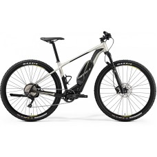 Merida eBig.Nine  600 (2019)