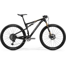 Merida Ninety-Six  9.9000 (2020)