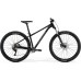 Merida Big.Trail  200 (2023)