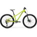 Merida Matts  J.CHAMPION (2022)
