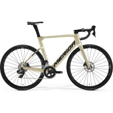 Merida Reacto  Rival-Edition (2023)