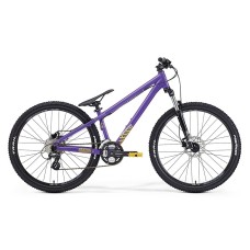 Merida Hardy 6.70 (2015)