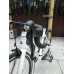 Merida Reacto  5000 (2019)